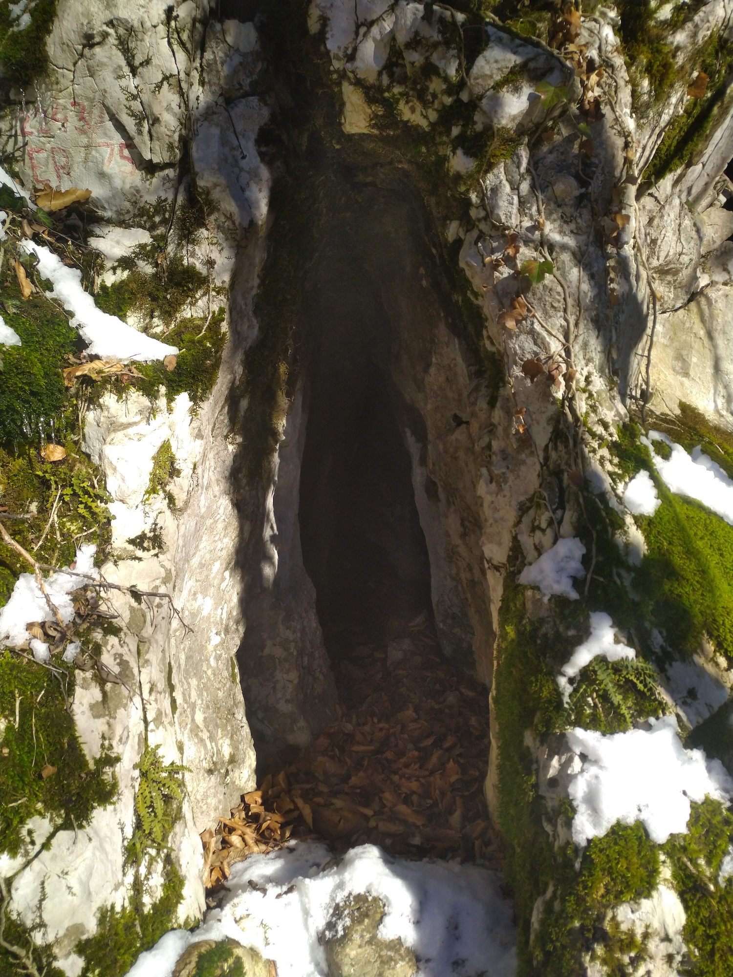 Peștera cu Săritori - Image 1